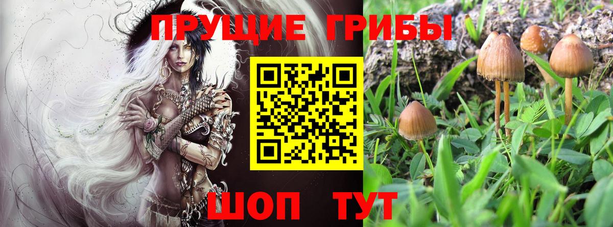 Конаково  Псилоцибиновые грибы мицелий  Псилоцибиновые грибы Psilocybine cubensis  Вход с VPN 